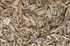 biomass boilers Ventnor